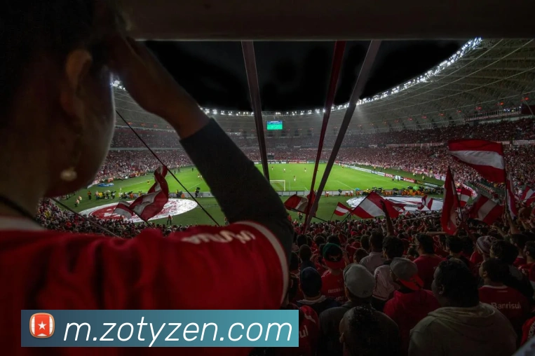 中欧体育平台生态图